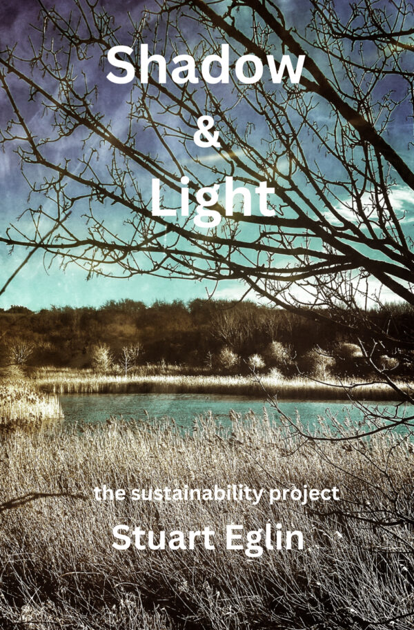 Shadow & Light (2024)